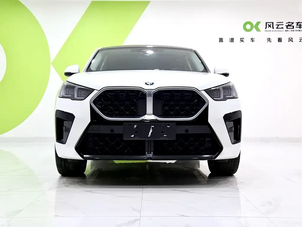 BMW X2 (Import) — фото 6