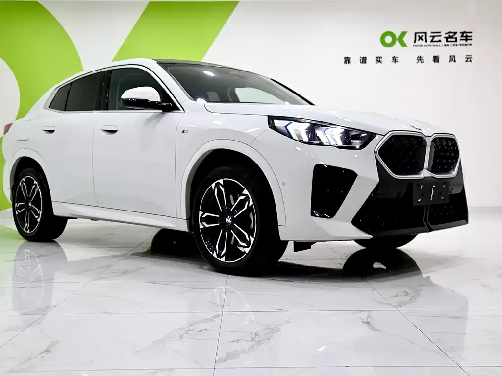 BMW X2 (Import) — фото 3