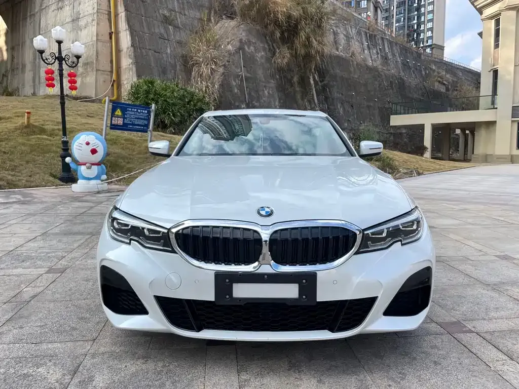 BMW 3 Series 2021 из CN, фото 5