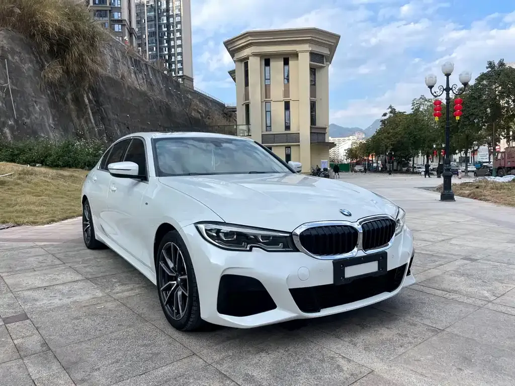 BMW 3 Series 2021 из CN, фото 9