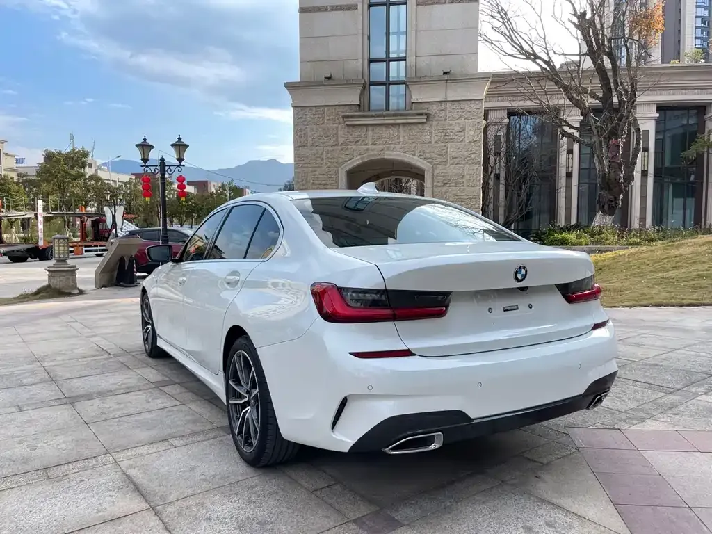 BMW 3 Series 2021 из CN, фото 8