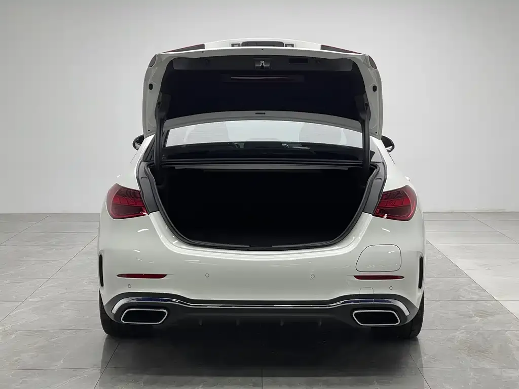 Mercedes-Benz C-Class New Energy — фото 8