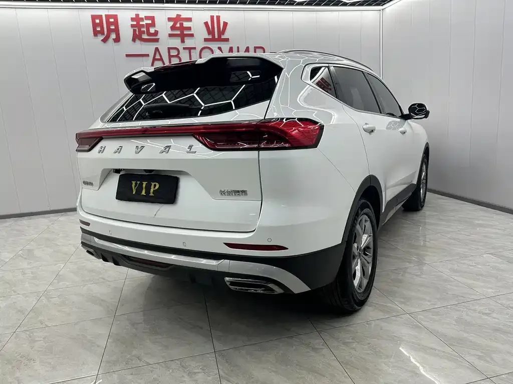 Haval H6 2023 из CN, фото 5
