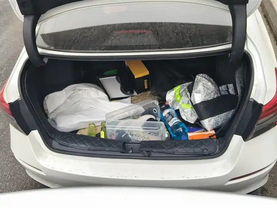 Honda Civic 2022 из CN, фото 2