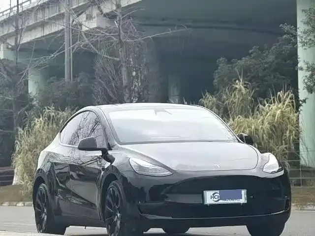Tesla Model Y — фото 4