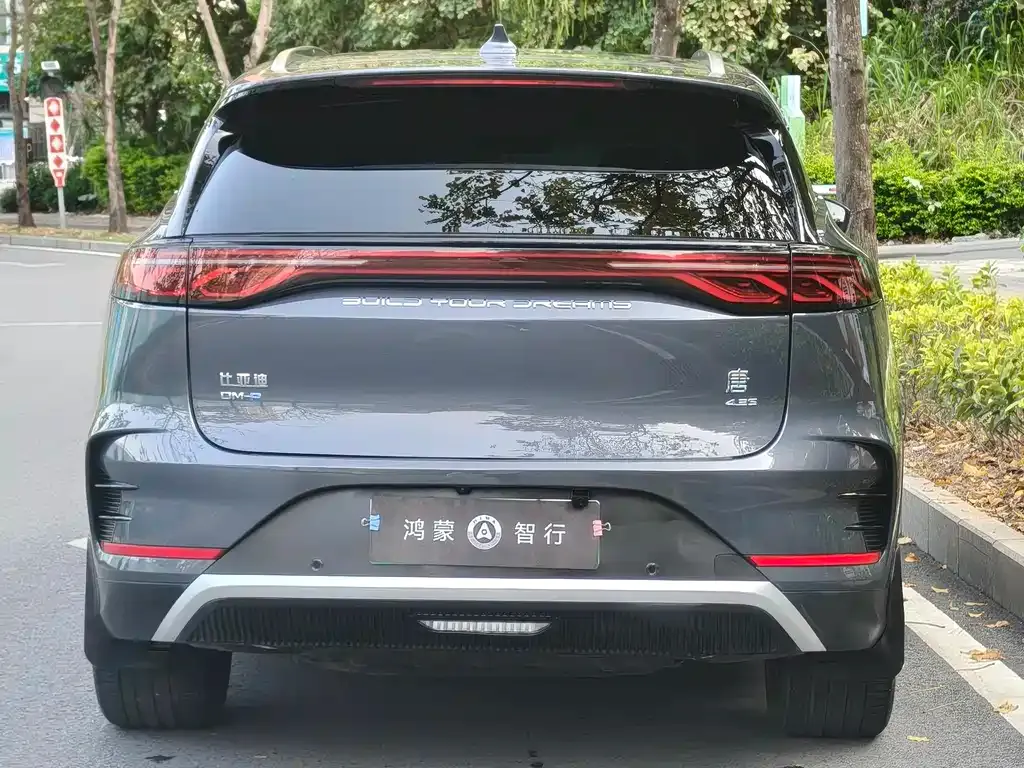 BYD Tang New Energy — фото 10