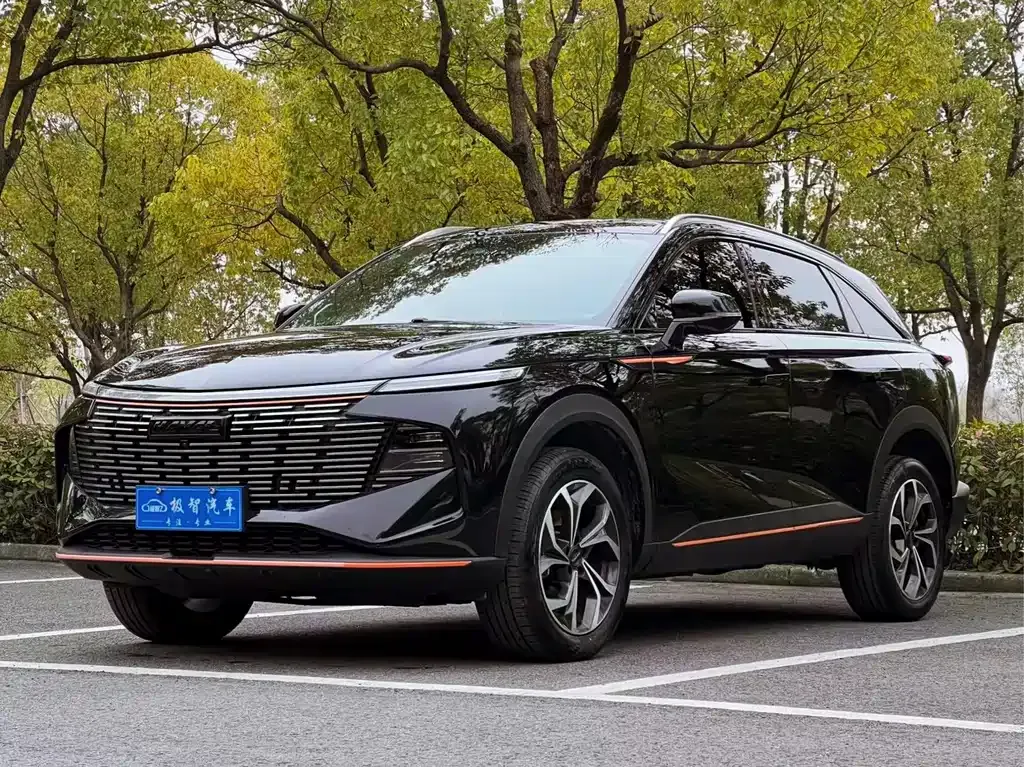 Haval Shenshou 2022 из CN, фото 1