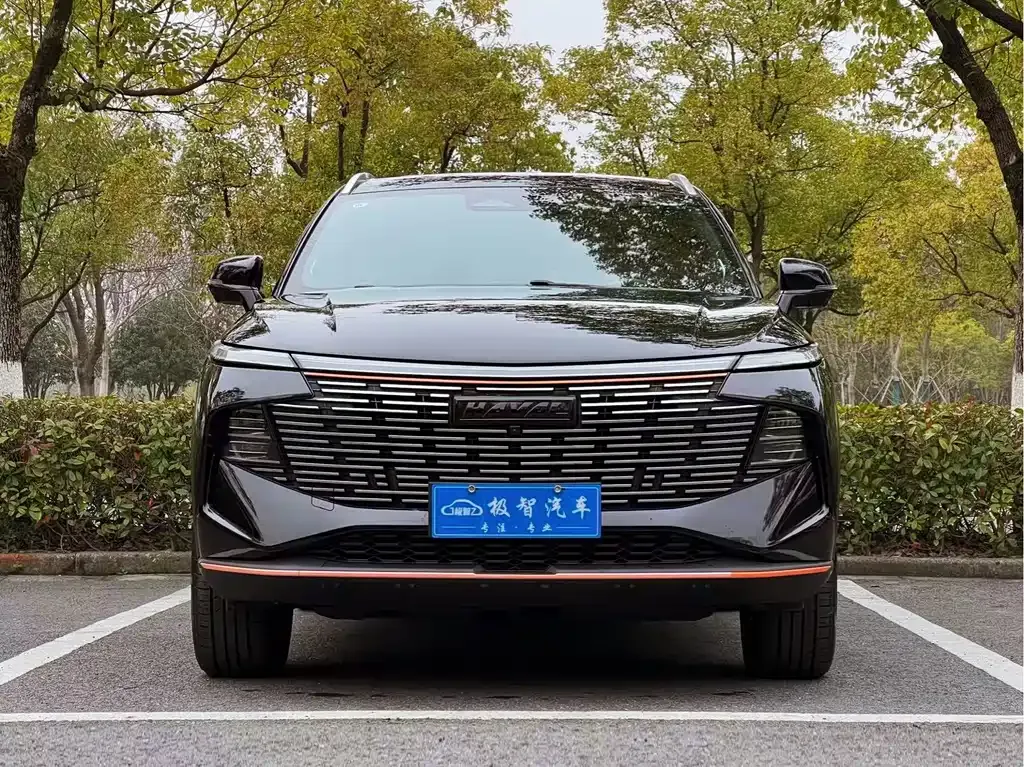 Haval Shenshou 2022 из CN, фото 2