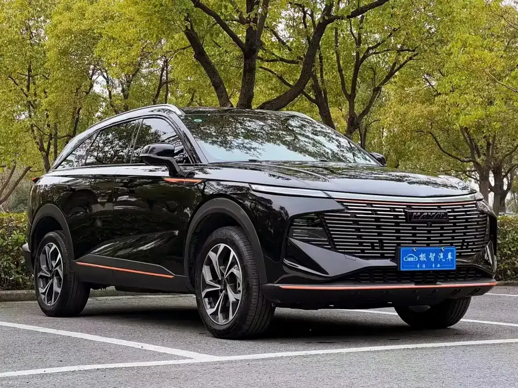 Haval Shenshou 2022 из CN, фото 3