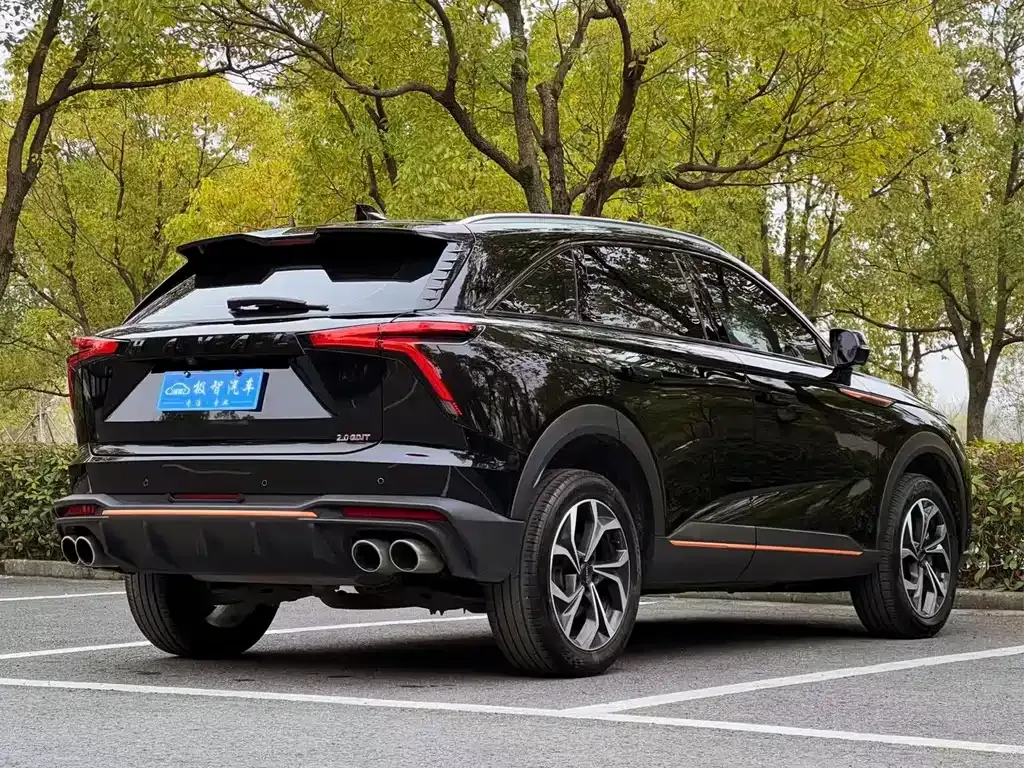Haval Shenshou 2022 из CN, фото 7