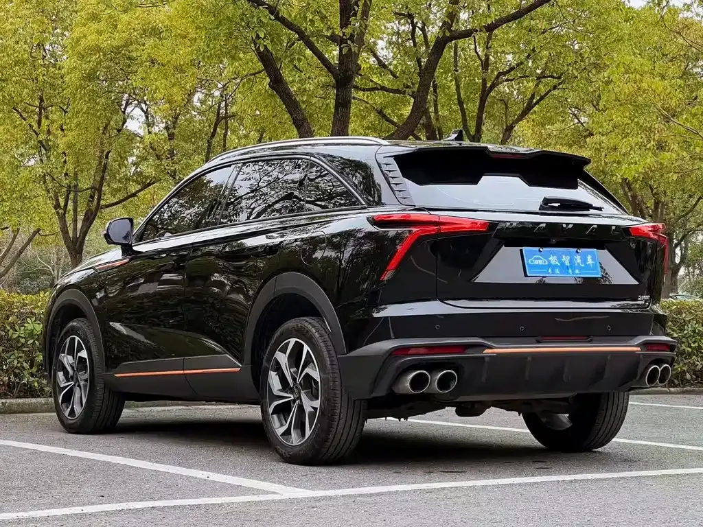 Haval Shenshou 2022 из CN, фото 6