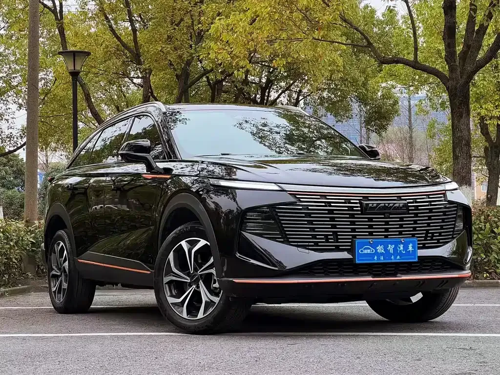 Haval Shenshou 2022 из CN, фото 4