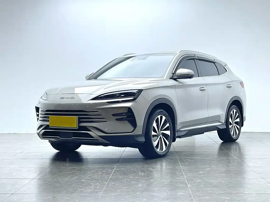 BYD PLUS New Energy — фото 1