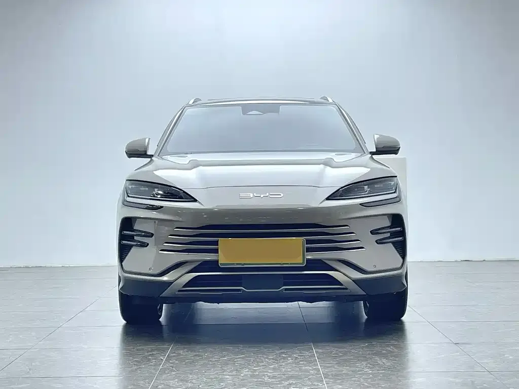 BYD PLUS New Energy — фото 8