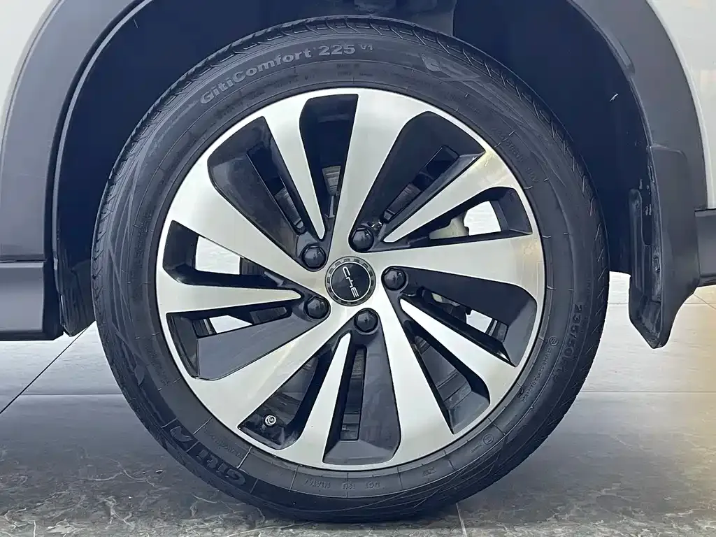BYD PLUS New Energy — фото 4