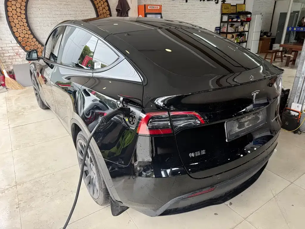 Tesla Model Y — фото 10