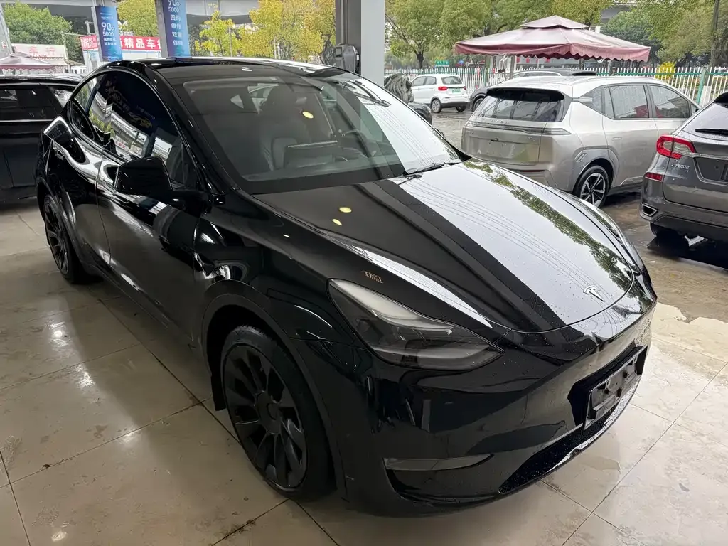 Tesla Model Y — фото 4