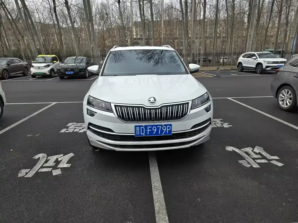 Skoda Karoq — фото 10