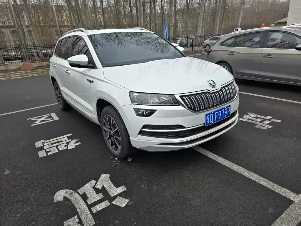 Skoda Karoq — фото 9