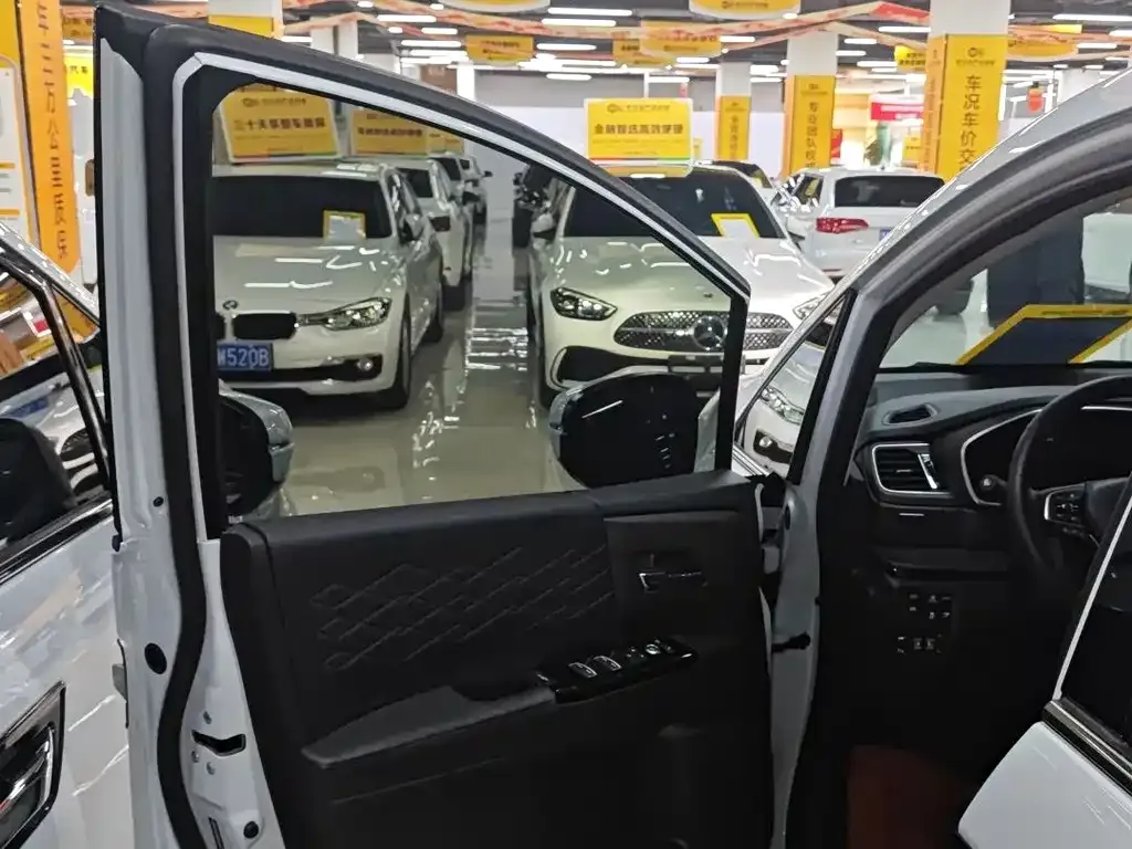 Honda Elysion 2024 из CN, фото 9