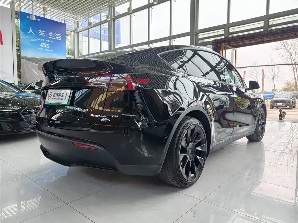 Tesla Model Y — фото 8
