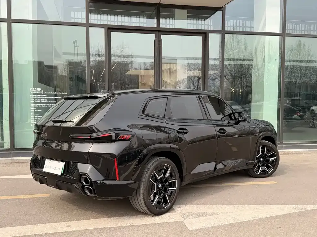 BMW XM 2024 из CN, фото 4