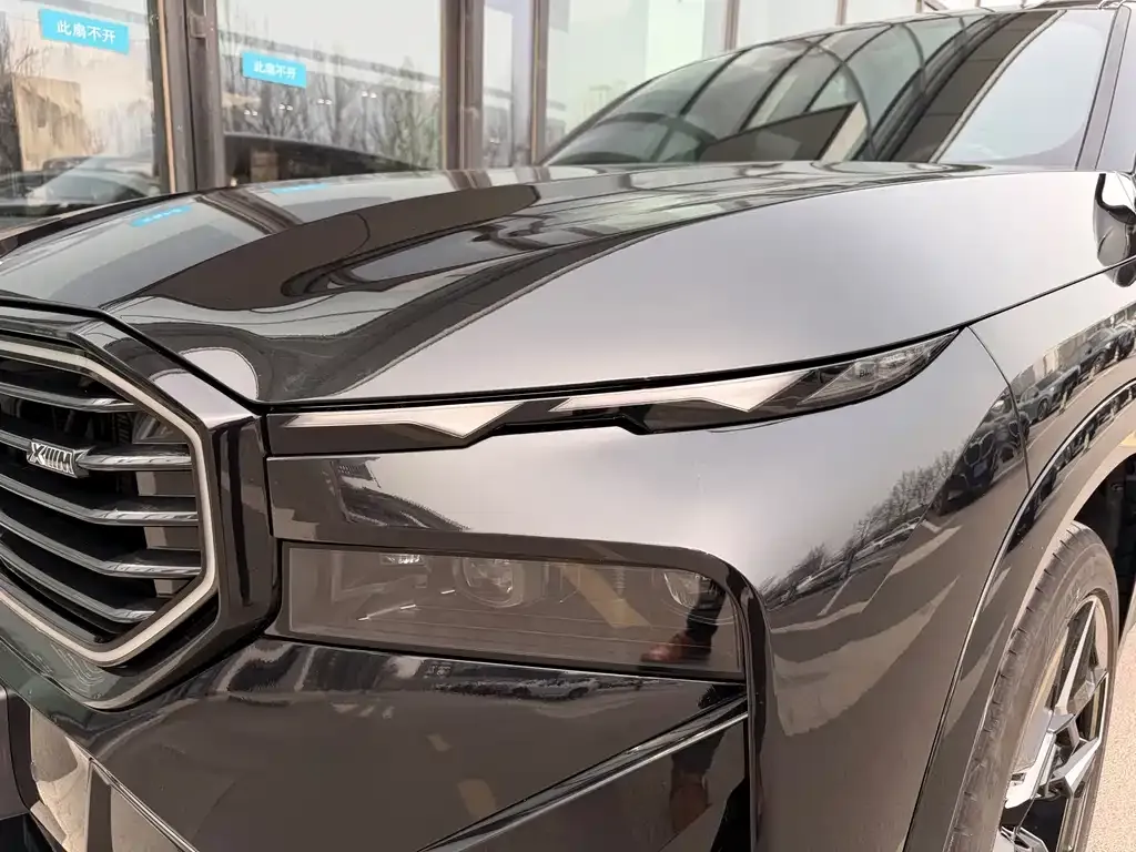 BMW XM 2024 из CN, фото 7