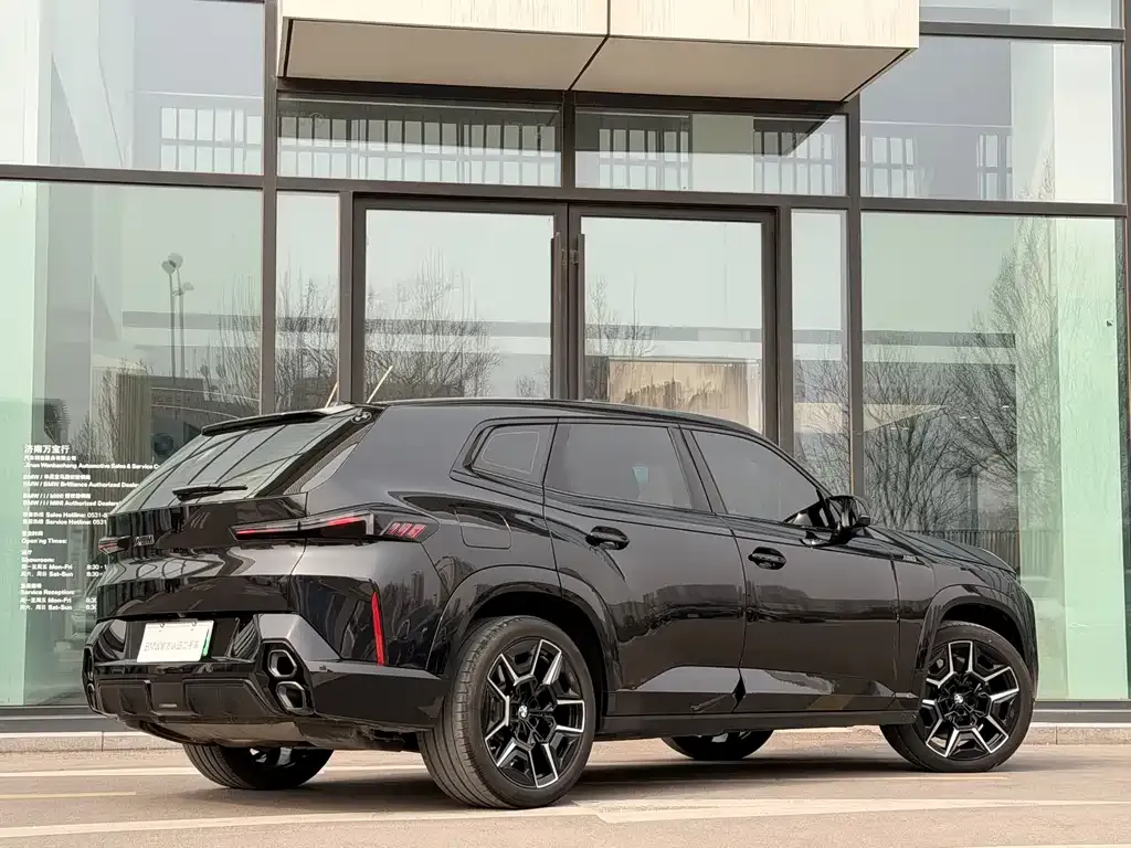 BMW XM 2024 из CN, фото 8