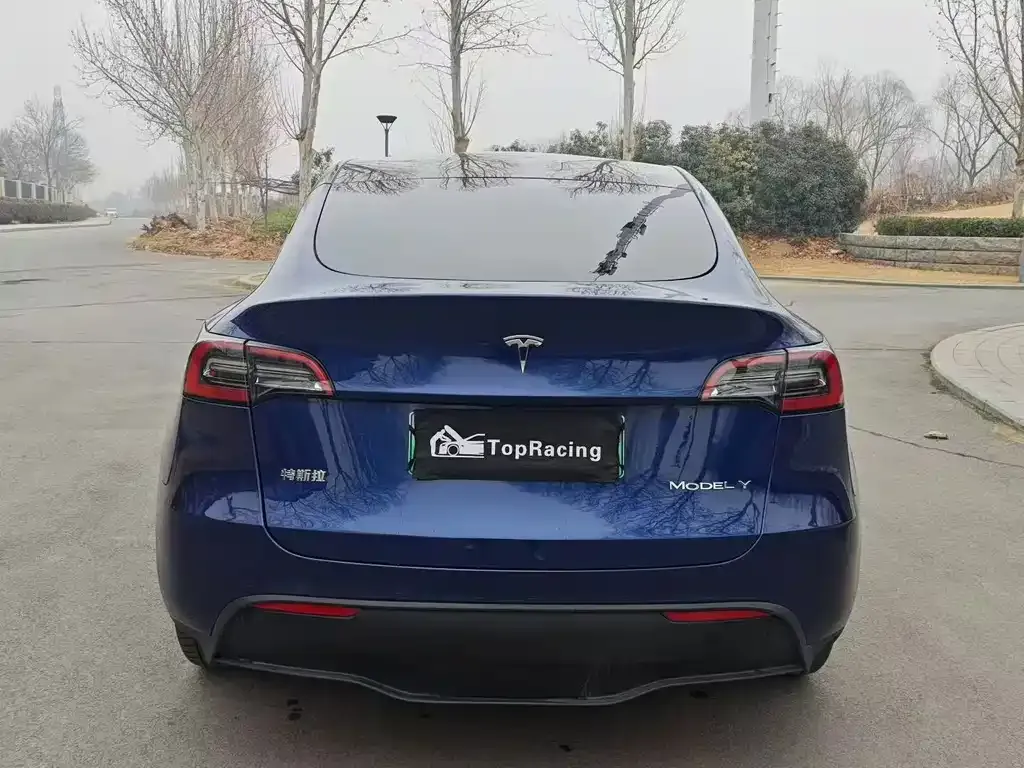 Tesla Model Y — фото 10