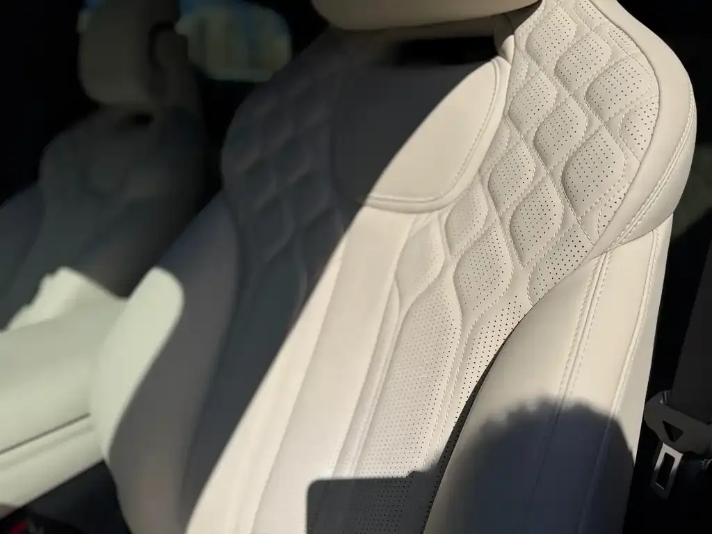 BYD L EV 2024 из CN, фото 5