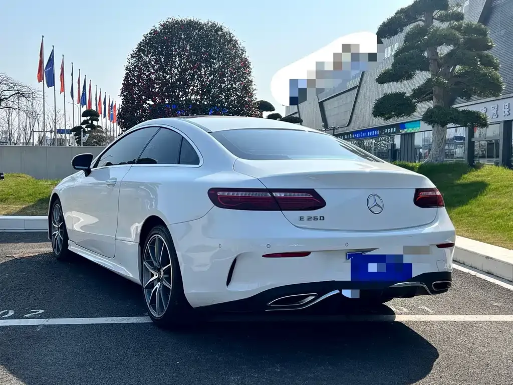 Mercedes-Benz E-Class (Import) — фото 8