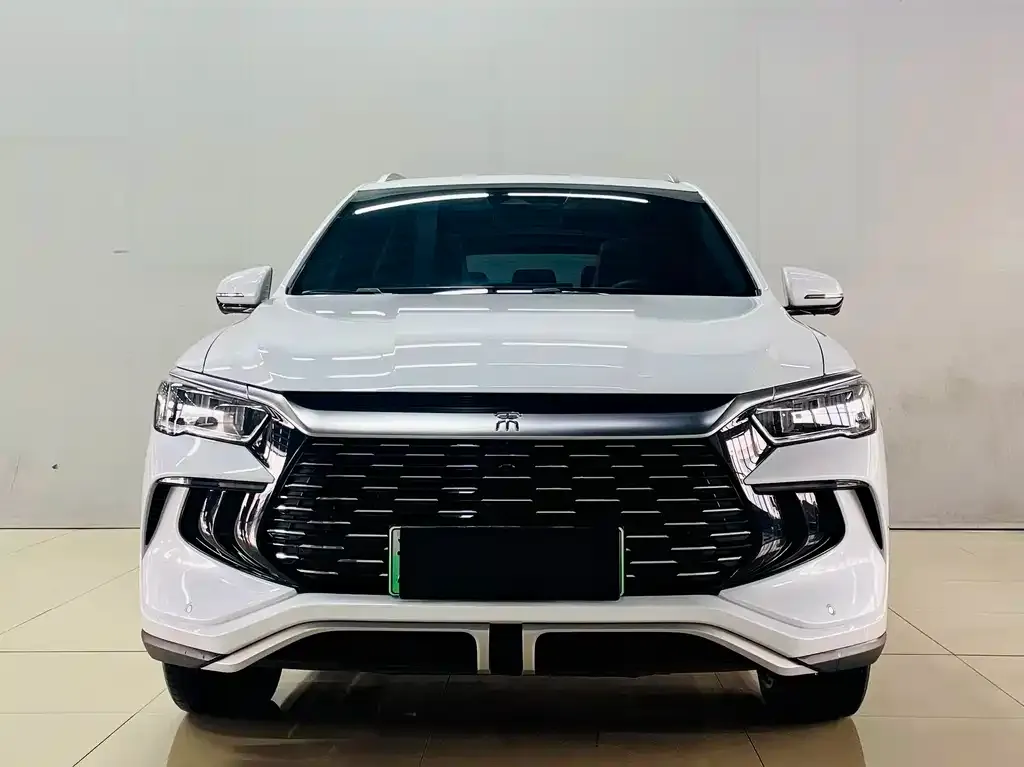 BYD Pro New Energy — фото 1