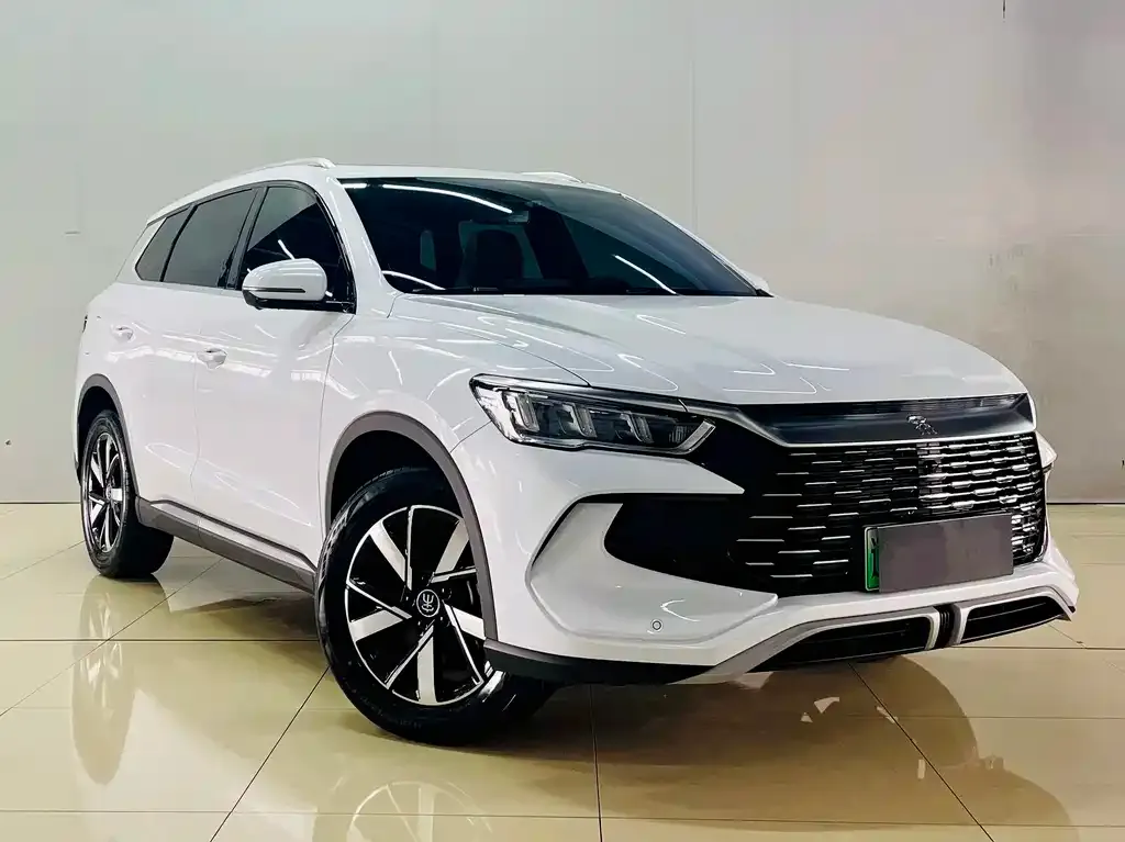 BYD Pro New Energy — фото 10