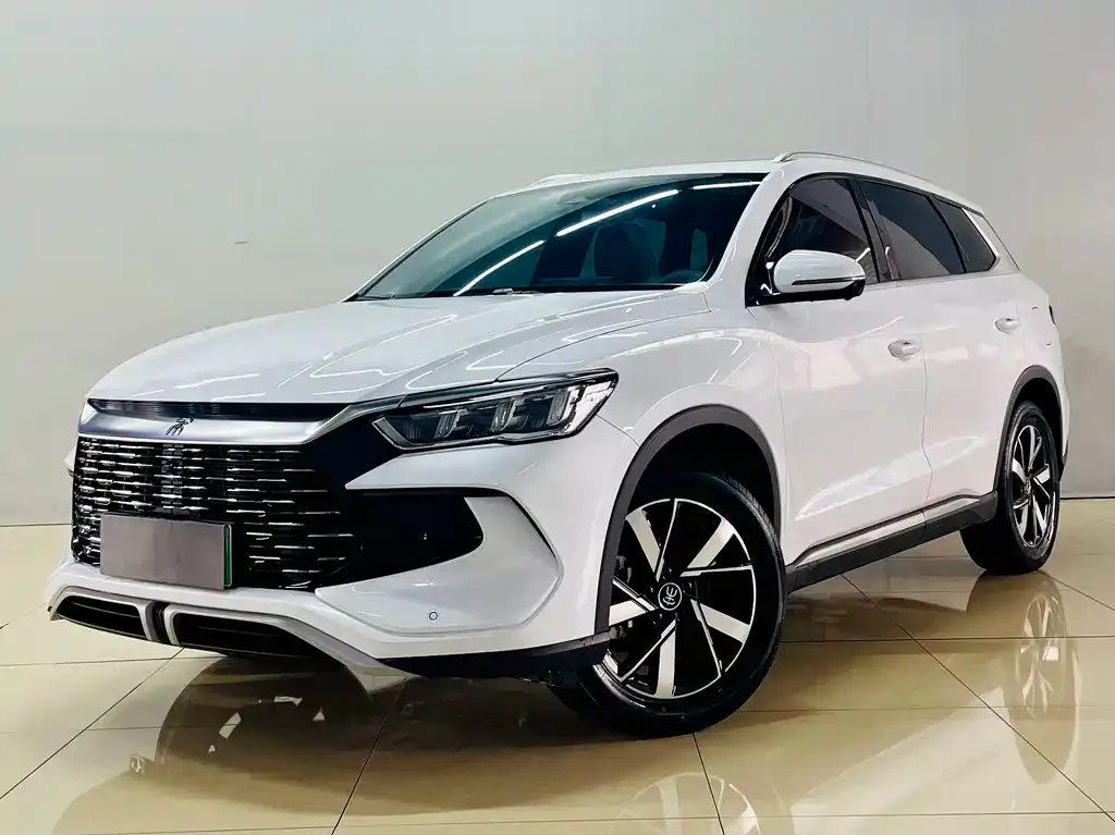 BYD Pro New Energy — фото 8