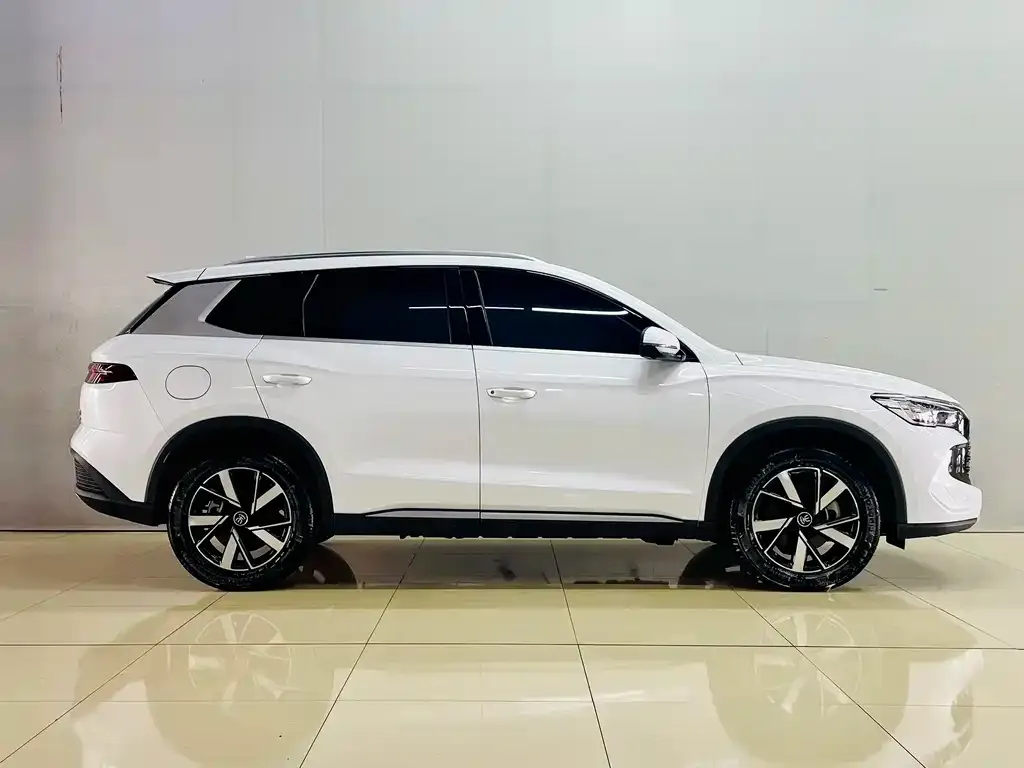 BYD Pro New Energy — фото 9