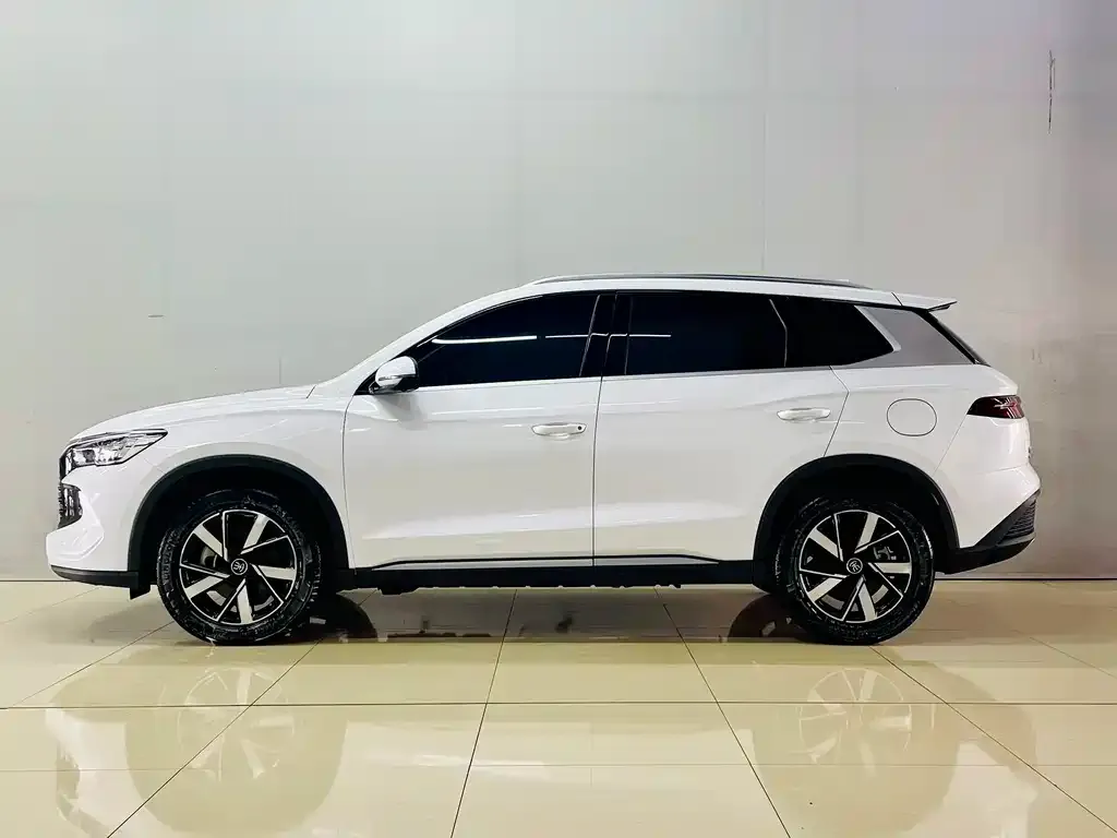 BYD Pro New Energy — фото 4