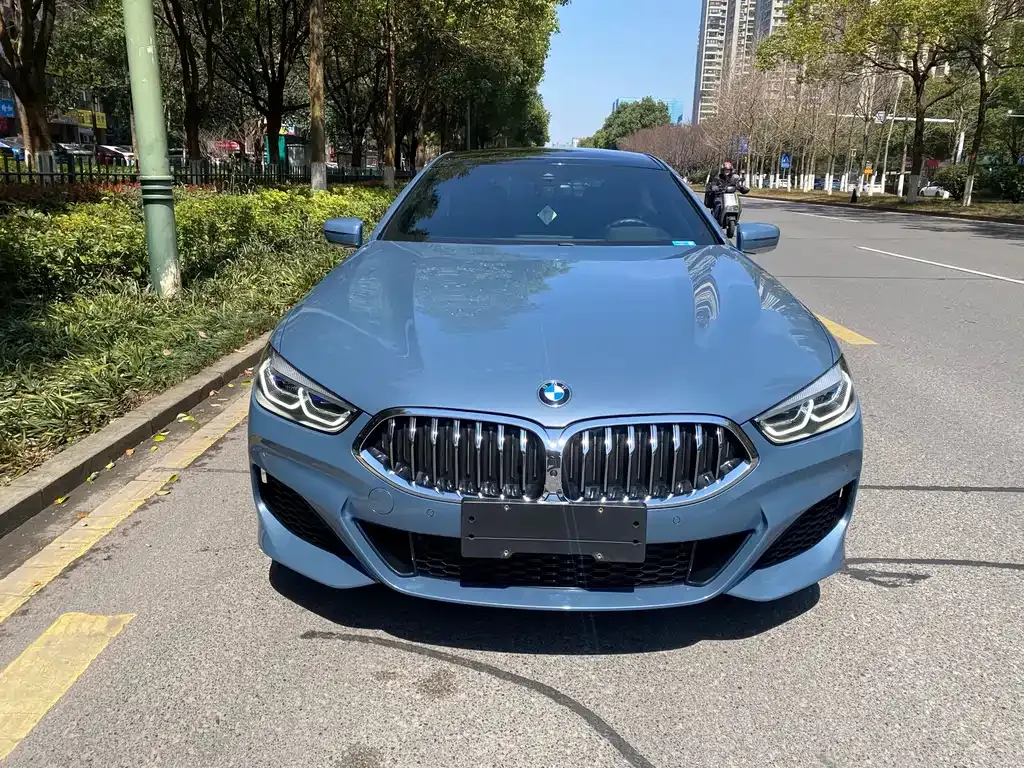 BMW 8 Series 2021 из CN, фото 5