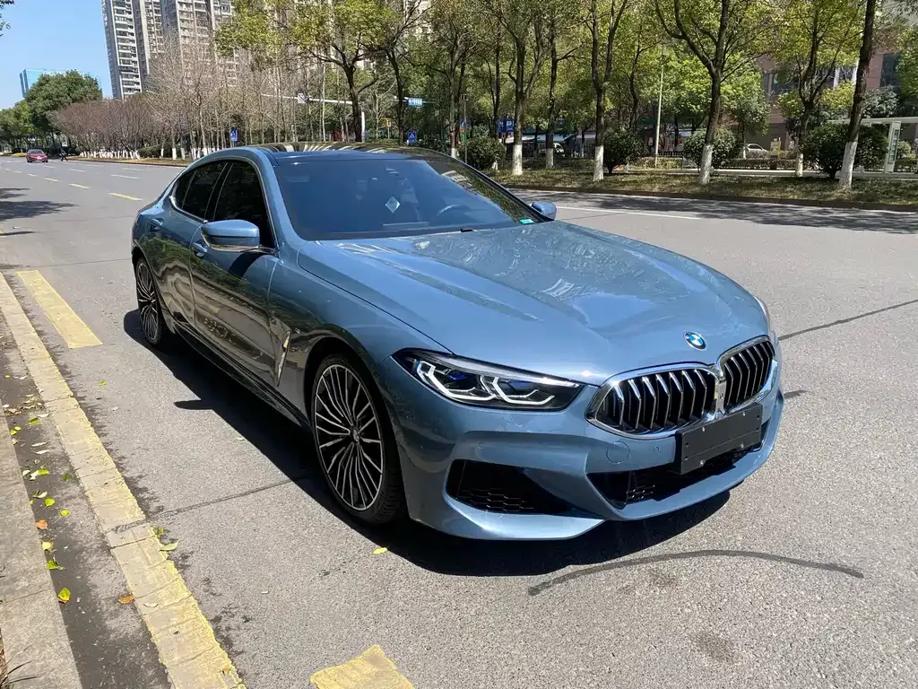 BMW 8 Series 2021 из CN, фото 7