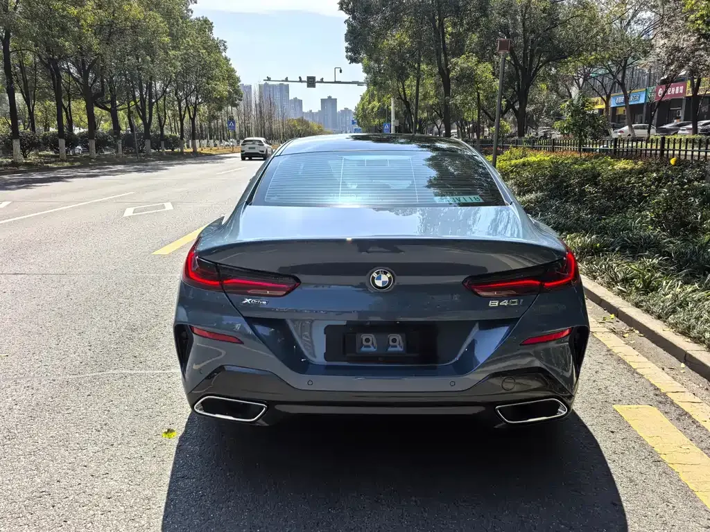 BMW 8 Series 2021 из CN, фото 9