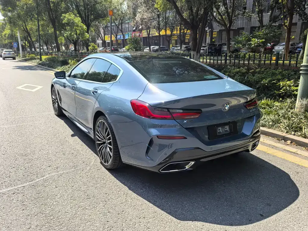 BMW 8 Series 2021 из CN, фото 10