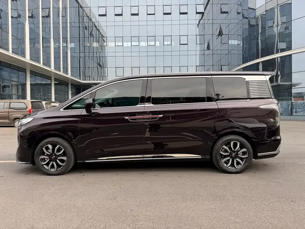 Hongqi HQ9 2023 из CN, фото 9