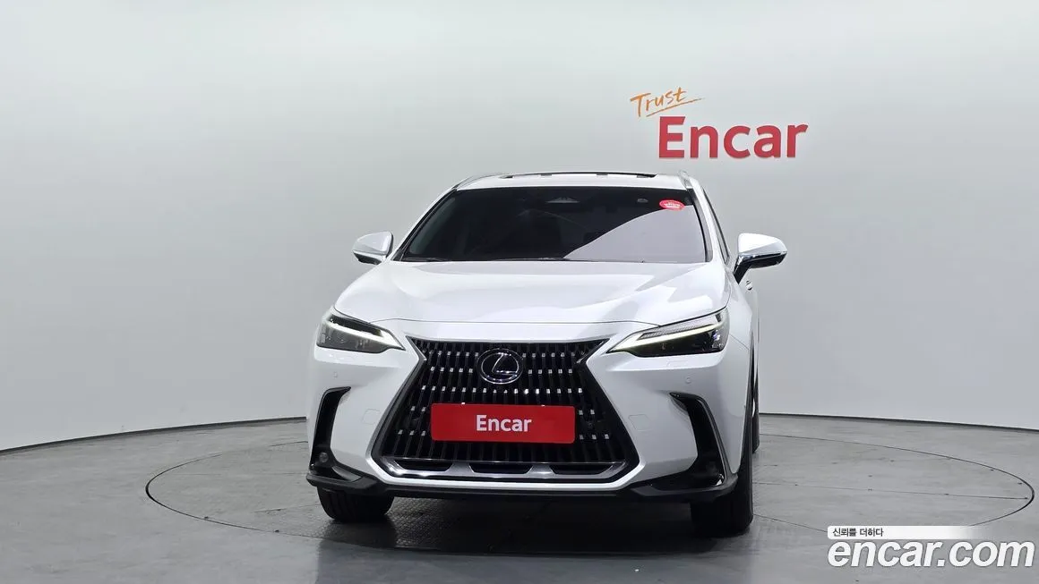 Lexus NX 2024 из KR, фото 6