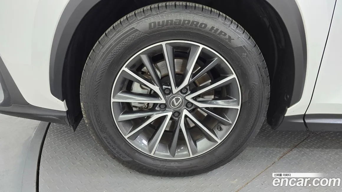 Lexus NX 2024 из KR, фото 4