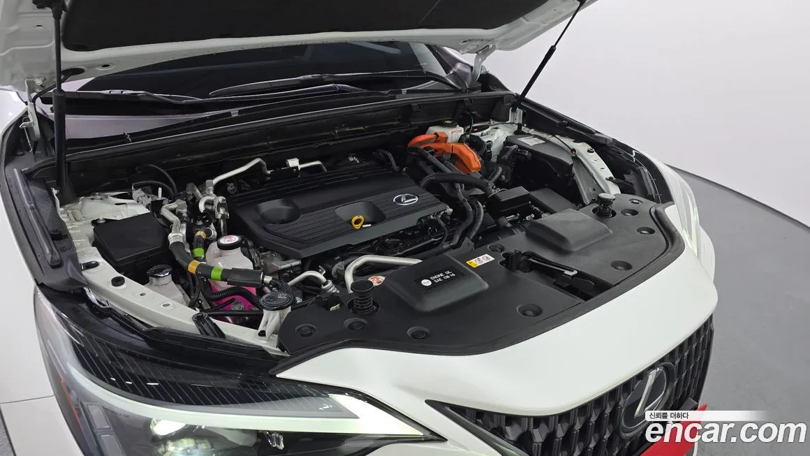 Lexus NX 2024 из KR, фото 5