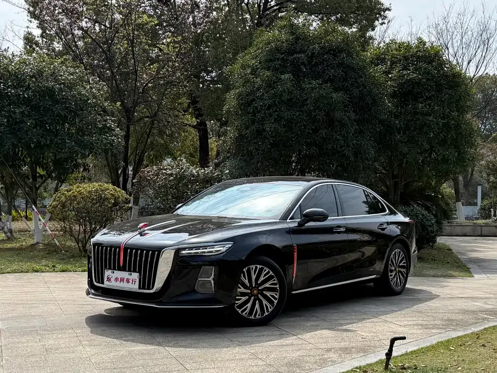 Hongqi H5 2024 из CN, фото 1