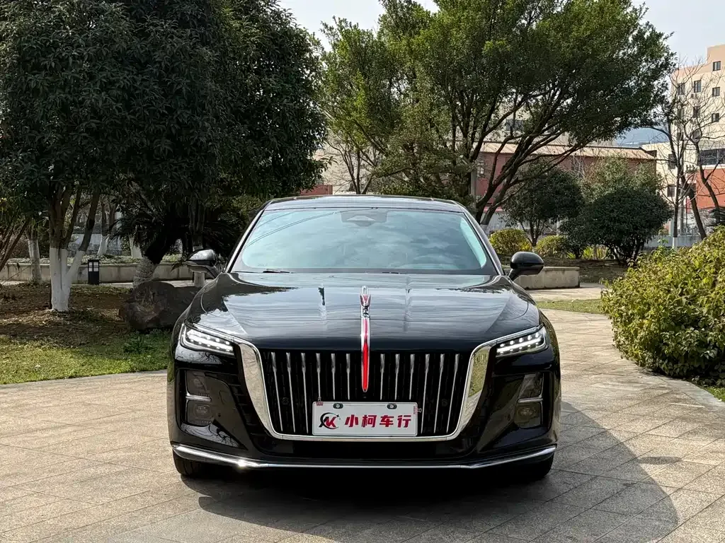 Hongqi H5 2024 из CN, фото 7