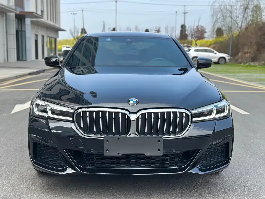 BMW 5 Series 2022 из CN, фото 3