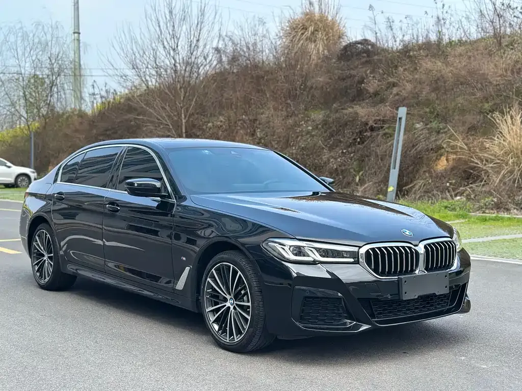 BMW 5 Series 2022 из CN, фото 8