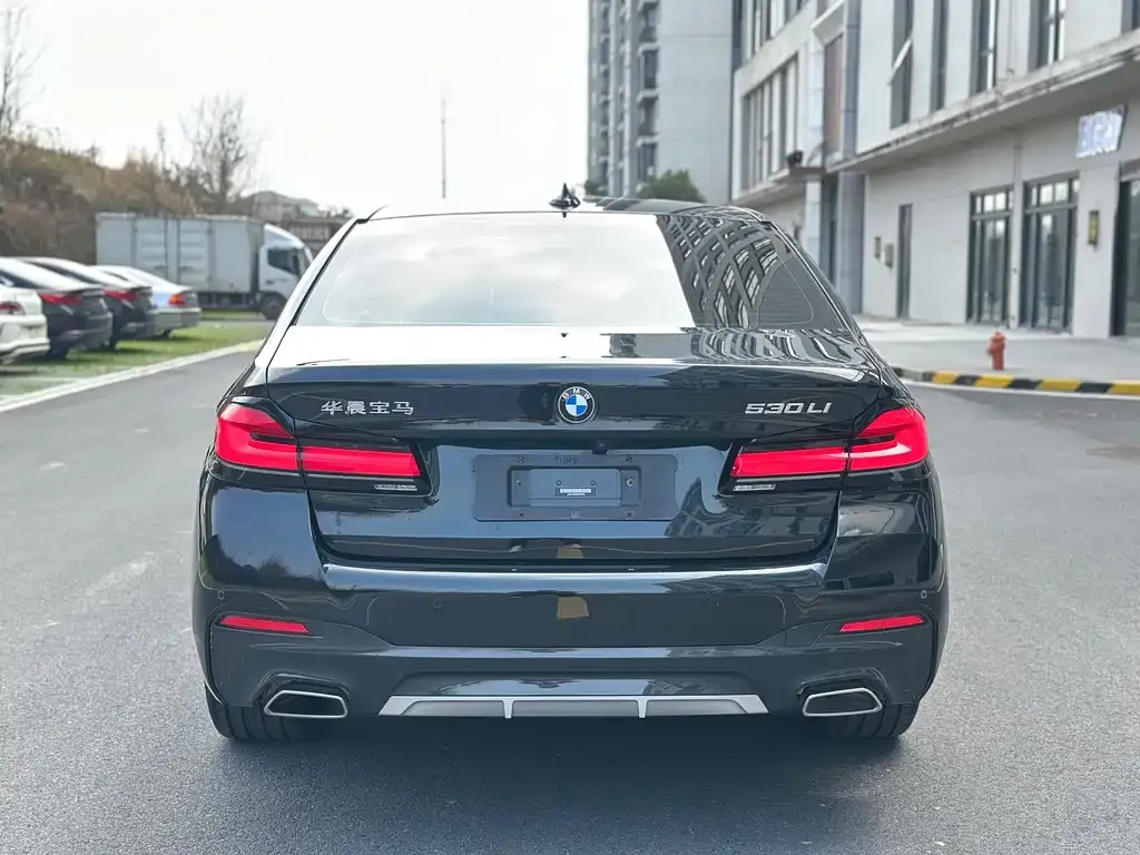BMW 5 Series 2022 из CN, фото 4