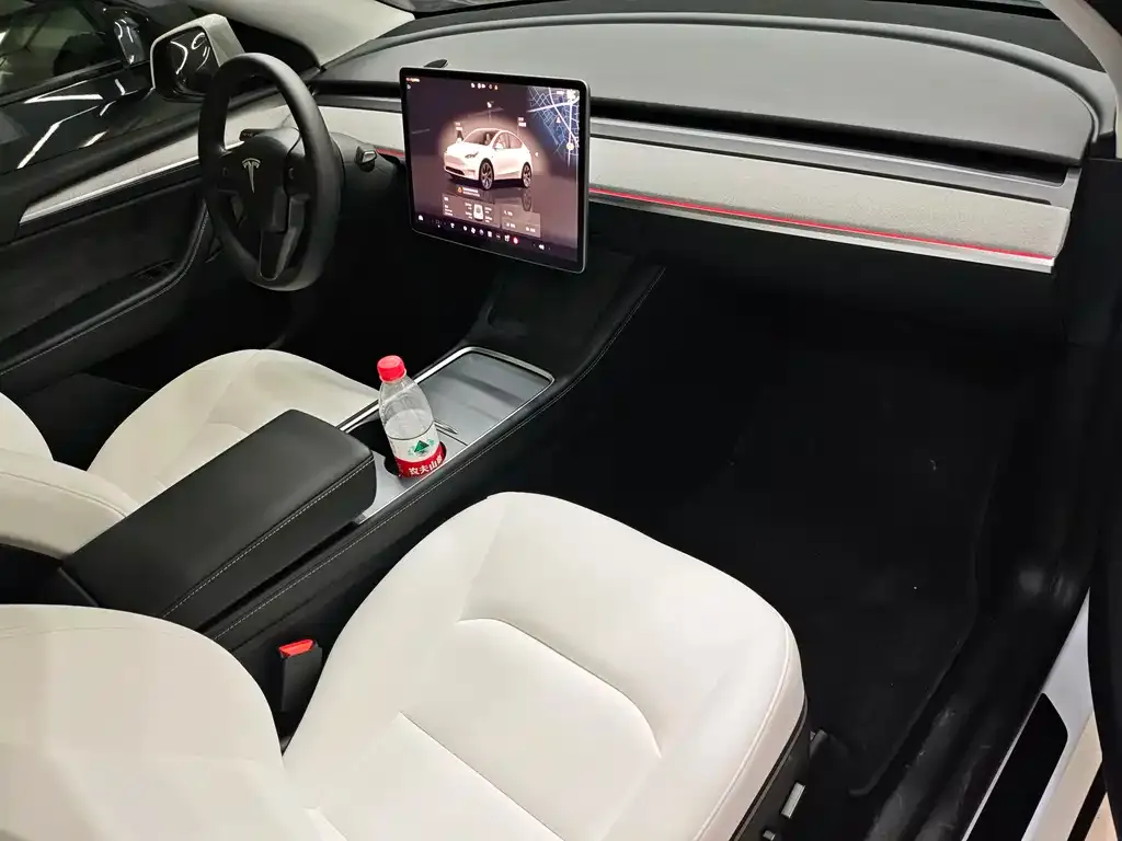 Tesla Model Y 2024 из CN, фото 6